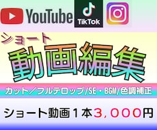 YouTube・SNS向けショート動画制作します イメージ1