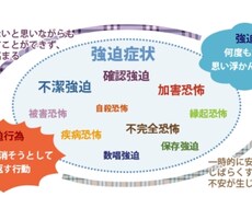 こだわりが辞められない強迫性障害のアドバイスします イメージ1
