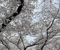 親身になってお聞きます イメージ1