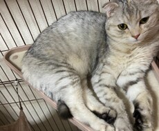 恋愛相談承ります イメージ1