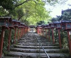 家族や友達・恋人などと話すようにお話しします イメージ1