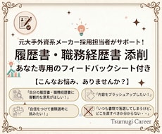 あなた専用の解説シート！採用のプロが添削します イメージ1