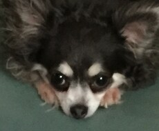 相談にのります イメージ1