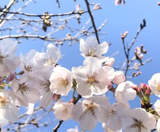 子どもに関する『困った』子育ての悩み相談にのります イメージ1