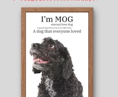 おしゃれなうちの子画像作ります 犬、猫、鳥、小動物、爬虫類、ご相談ください！