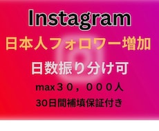 インスタ日本人フォロワーを100名増やします Instagram/max30000人/30日間補填保証付