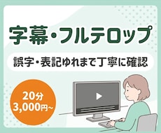 動画に字幕・フルテロップを丁寧に入れます イメージ1