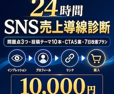 24時間SNS売上導線診断します イメージ1