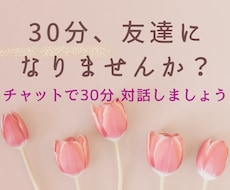 気軽に30分、チャットでお話し相手になります イメージ1