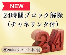 単発コース/24時間ブロック解除いたします イメージ1