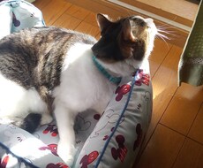 介護や家庭の事でお悩みの方のお話し伺います イメージ1