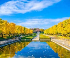 気になる人との未来を霊視します お二人の未来をずばりお教えします。