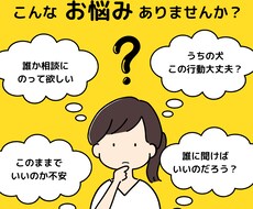 獣医さんですが、聞き上手なので、何でも相談のります イメージ1