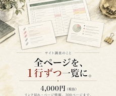 サイトのリンク切れ・ページ情報を調査します 300ページまで。URL・見出し・リンク切れをExcelで