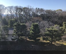 あなたとお相手との相性をみてアドバイスをします イメージ1