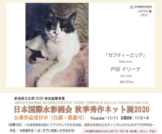 uqi0517様専用　でございます uqi0517様、ご依頼ありがとうございました
