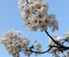 周りに言えない悩み、お話伺います イメージ1