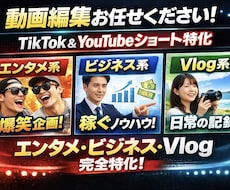 エンタメ、ビジネス、Vlog系の動画作成をします イメージ1
