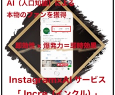 限定値下！InstagramにAIを導入します ｜【初回限定・半額】人工知能を利用した集客力を増強します！