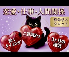 タロット×算命学♥︎質問２つ 恋愛＆仕事運占います 24h内【10月2500→500円】2500字｜片思い 転職