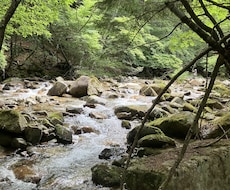 愚痴やモヤモヤをやさしくお聞きします イメージ1
