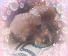はい！聞きます イメージ1