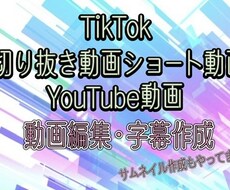 Tiktok,YouTube動画編集承ります イメージ1