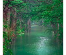 あなたの過去世を見ます カルマの解消に繋がる事もあります。