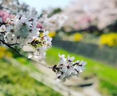 パチンコ卒業応援！励ましor私の体験談話します イメージ1