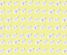 専用の方のページとなります やり取りさせていただいたかたの専用のページです
