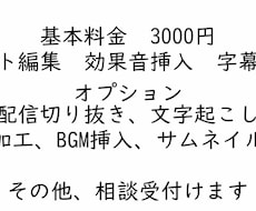 動画編集、承ります イメージ1