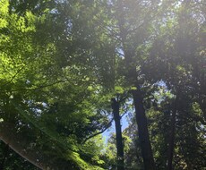 お悩みお受けします イメージ1