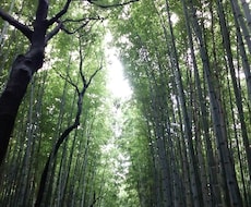 宿曜☆で気になるあの人の性格や相性をみます おふたりのご関係が気になる貴方に☆
