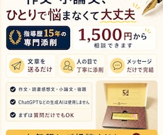 作文や小論文、ESの指導•お手伝いします イメージ1