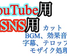 YouTube用、SNS用の動画編集を代行致します イメージ1