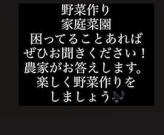 野菜作りに関することなんでも教えます イメージ1
