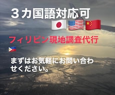 フィリピン現地調査代行！3ヶ国語で徹底リサーチます イメージ1