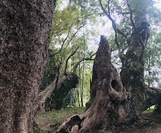 1年の地図をお伝えします イメージ1