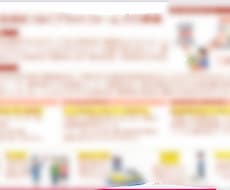ポンチ絵（概要を１枚にまとめた資料）作成代行します イメージ1