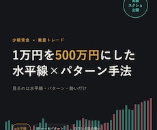 1万円を500万円にした手法教えます 専業になるための資金をコレで作りました