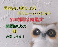 24時間以内鑑定。気持ちに寄り添い鑑定致します 〜恋愛状況判断〜〜お仕事アドバイス〜