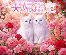 今、夫はどんな気持ち？タロットで丁寧に読み解きます 即日鑑定｜ちょっと気になるそんな時❗今のお気持ち読み解きます