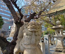 あなたの今成すべき事を占います イメージ1