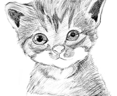 大切なペットのイラストを描きます イメージ1