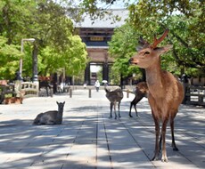 本当の天職をお教えします イメージ1
