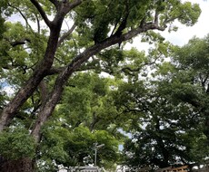 心の悩み何でもお聞きます イメージ1