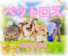 ペットロス大切な家族を亡くした悲しみを共に抱えます イメージ1