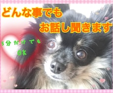 少し誰かと話したい！を、叶えます イメージ1