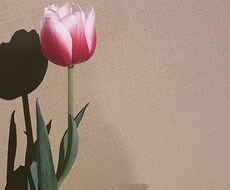 関西弁であなたの心に寄り添います イメージ1