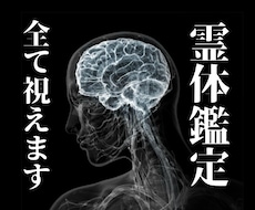 貴方の持つ力を鑑定し、貴方の知りたい事を教えます イメージ1